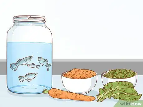 Imagen titulada Care for Turtles Step 9