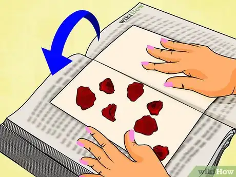 Imagen titulada Preserve Rose Petals Step 9