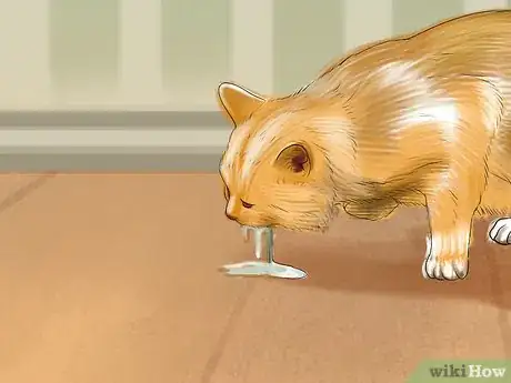 Imagen titulada Stop Your Cat from Drooling Step 7