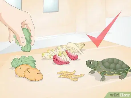 Imagen titulada Feed Your Turtle if It is Refusing to Eat Step 11