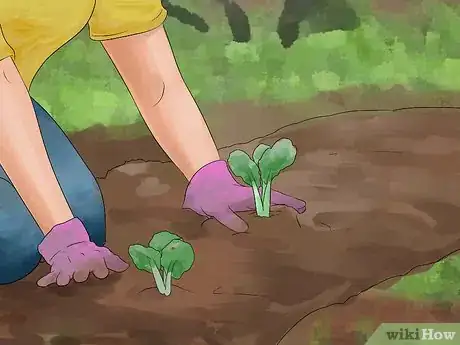 Imagen titulada Be a Farmer Step 9