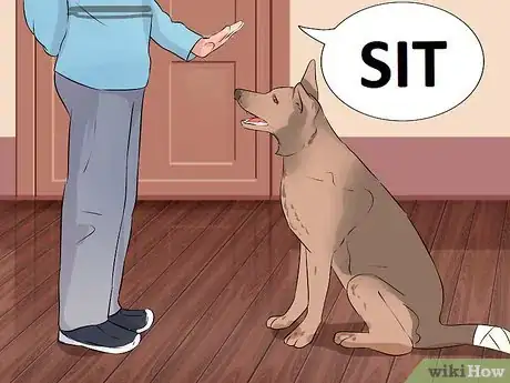 Imagen titulada Wrap a Dog's Tail Step 13