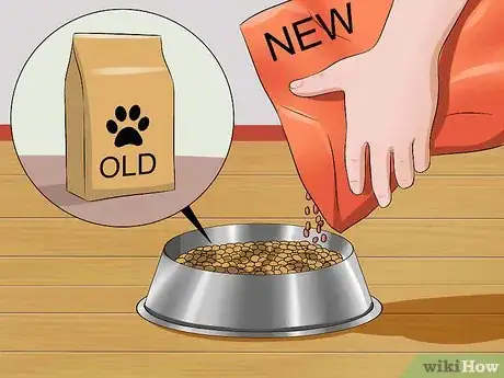 Imagen titulada Prevent a Dog from Defecating in its Crate Step 11