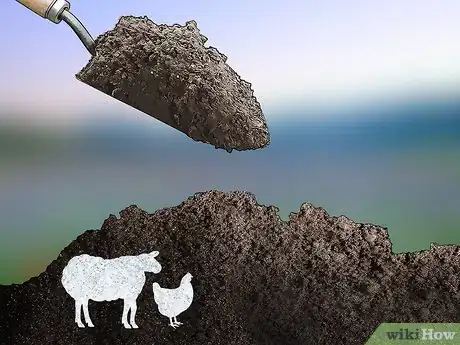Imagen titulada Increase Nitrogen in Soil Step 14