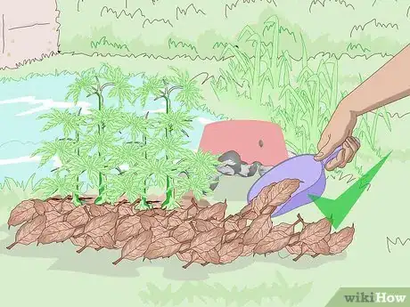 Imagen titulada Attract Frogs Step 4