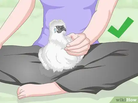 Imagen titulada Pet a Chicken Step 10