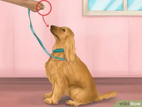 Imagen titulada Discipline Your Puppy Step 2