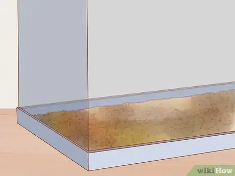 Imagen titulada Care for a House Gecko Step 3