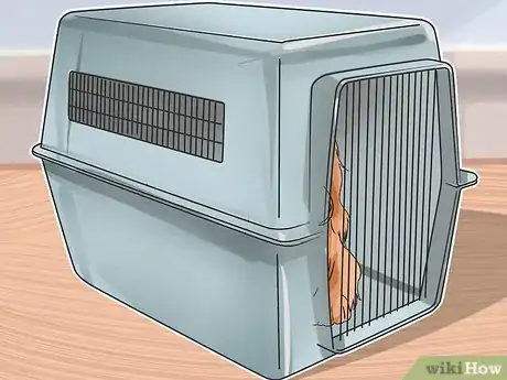 Imagen titulada Treat Back Problems in Dachshunds Step 11