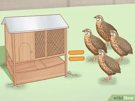 Imagen titulada Get Quails to Lay Eggs Step 2