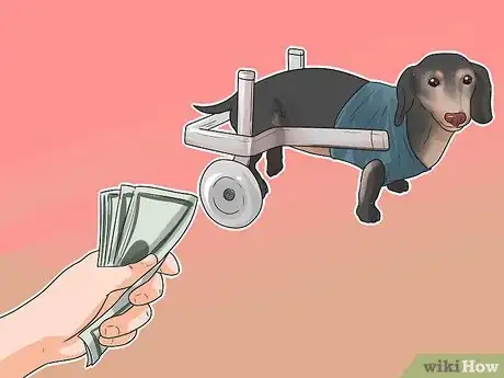 Imagen titulada Treat Back Problems in Dachshunds Step 15