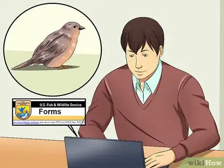Imagen titulada Care for an Injured Wild Bird That Cannot Fly Step 18