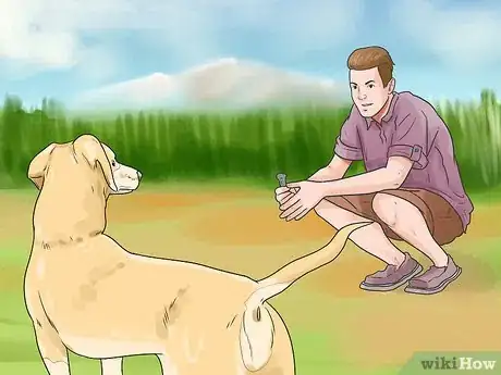 Imagen titulada Catch a Dog Step 7