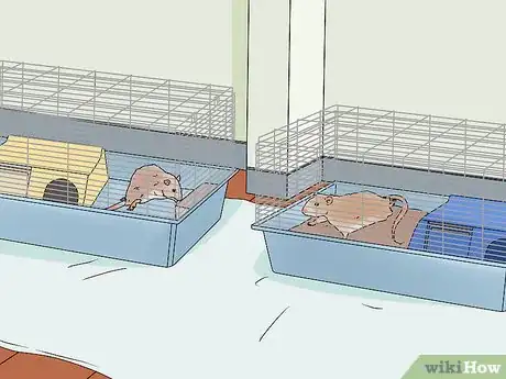 Imagen titulada Take Care of a Paralyzed Rat Step 10