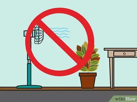 Imagen titulada Care for a Croton Plant Step 03