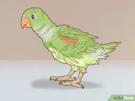 Imagen titulada Tell if Your Bird Has Mites Step 5