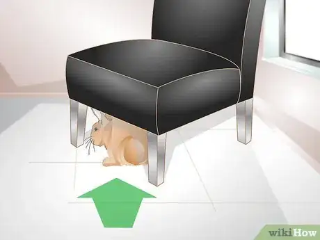 Imagen titulada Tell if Your Rabbit Is Lonely Step 4
