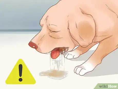Imagen titulada Know When Your Dog is Sick Step 15