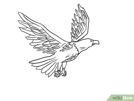 Imagen titulada Draw an Eagle Step 40