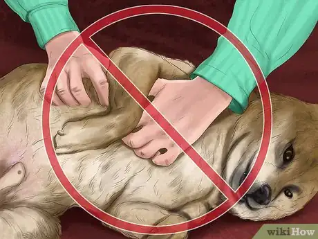 Imagen titulada Reprimand a Pet Step 10