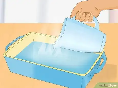Imagen titulada Bathe a Russian Tortoise Step 3