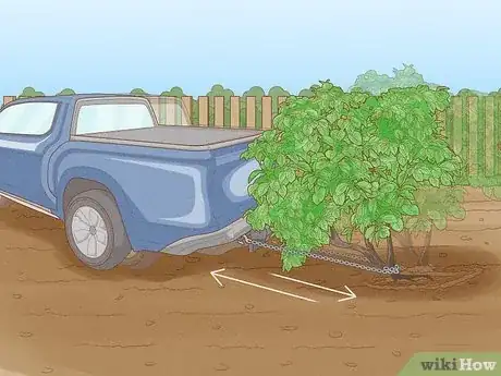 Imagen titulada Remove Bushes Step 6