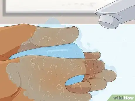 Imagen titulada Bathe a Russian Tortoise Step 5