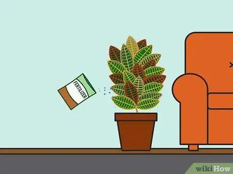 Imagen titulada Care for a Croton Plant Step 09