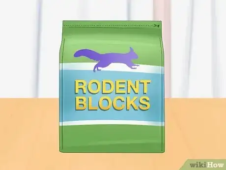 Imagen titulada Keep a Pet Squirrel Step 5