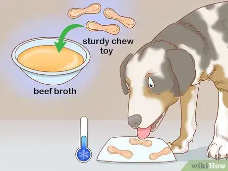 Imagen titulada Keep an Australian Shepherd Busy Step 8