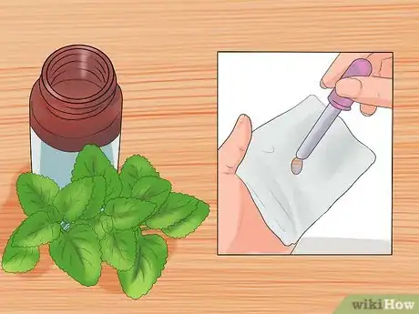 Imagen titulada Treat Vomiting at Home Step 9