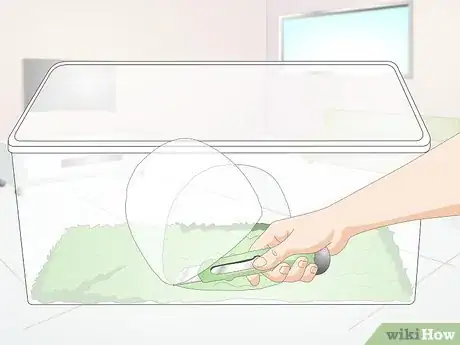 Imagen titulada Keep a Cat from Kicking the Litter out of the Litterbox Step 8