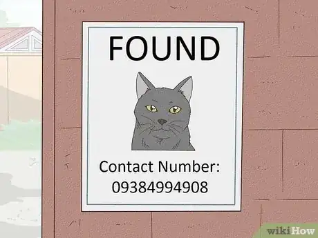 Imagen titulada Handle a Stray Cat Step 14