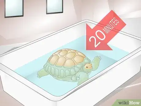 Imagen titulada Bathe a Tortoise Step 3