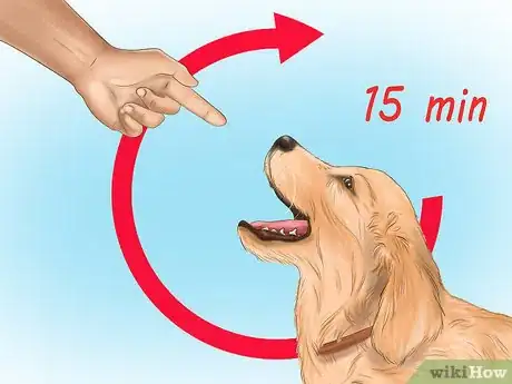 Imagen titulada Discipline Your Puppy Step 5