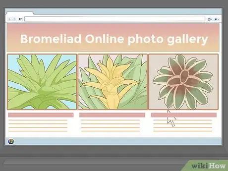 Imagen titulada Care for a Bromeliad Step 1