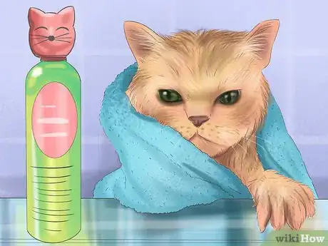 Imagen titulada Bathe a Cat Step 3