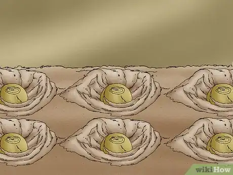 Imagen titulada Propagate Daffodils Step 11