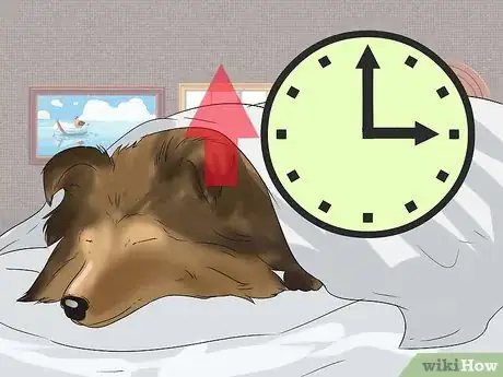 Imagen titulada Tell if a Dog Is in Pain Step 9