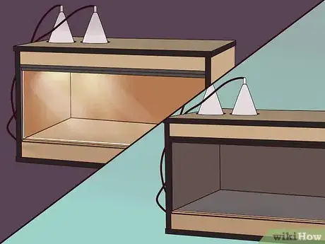 Imagen titulada Care for a Leopard Gecko Step 5