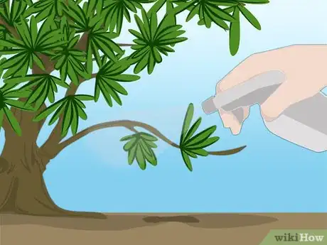 Imagen titulada Propagate Azaleas Step 3