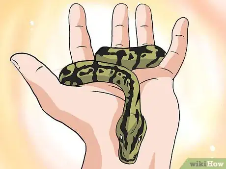 Imagen titulada Choose Your First Pet Snake Step 2Bullet3