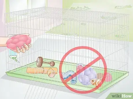 Imagen titulada Exercise Your Guinea Pig Step 4