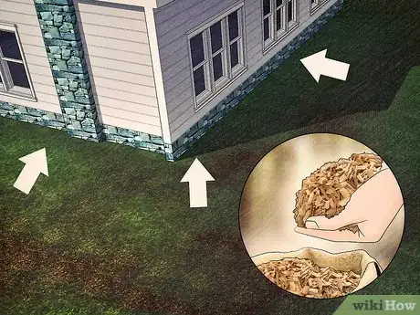 Imagen titulada Keep Spiders and Scorpions Out of Your House Using Natural Products Step 12