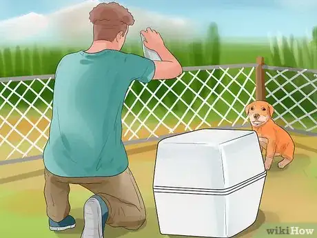 Imagen titulada Catch a Dog Step 4