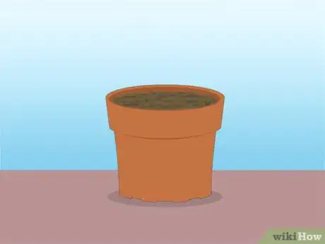 Imagen titulada Propagate Azaleas Step 8