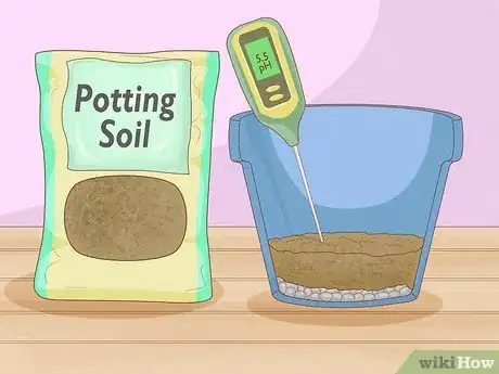 Imagen titulada Grow Potatoes Indoors Step 9