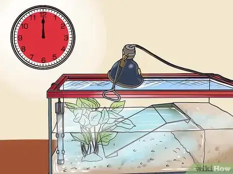 Imagen titulada Make a Turtle Environment Step 11