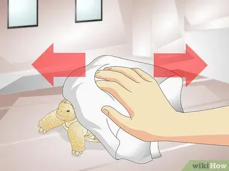 Imagen titulada Bathe a Tortoise Step 5