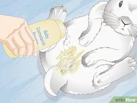 Imagen titulada Keep a Rabbit Clean Step 8